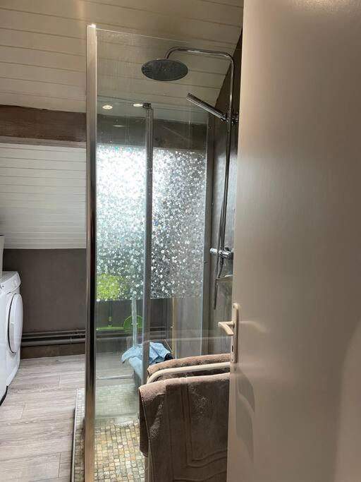 Loft Avec Jardin Apartment Corcieux Екстериор снимка