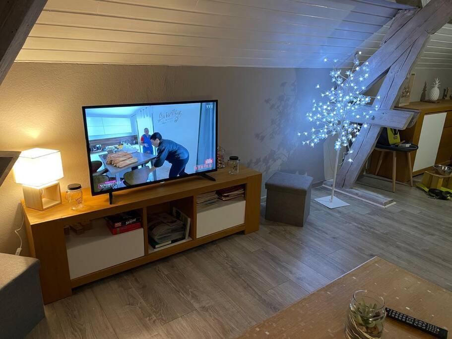 Loft Avec Jardin Apartment Corcieux Екстериор снимка