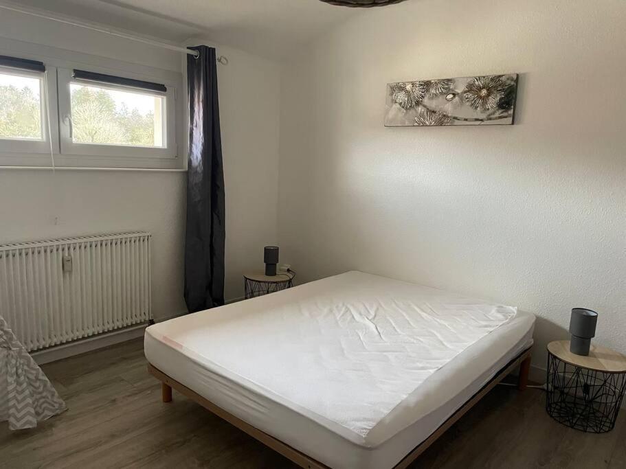 Loft Avec Jardin Apartment Corcieux Екстериор снимка