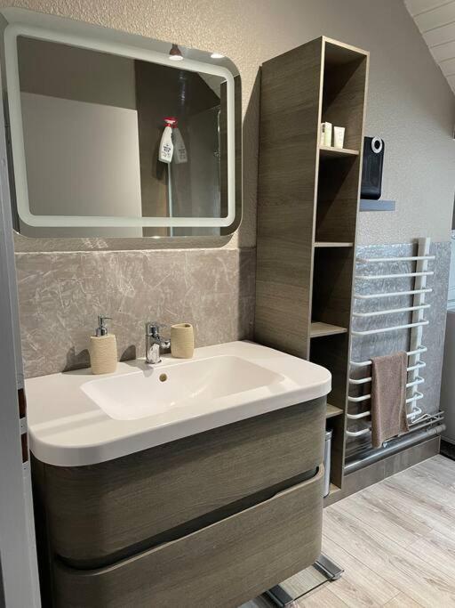 Loft Avec Jardin Apartment Corcieux Екстериор снимка